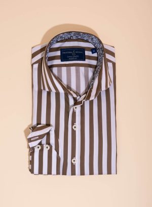 Awning Stripe Shirt